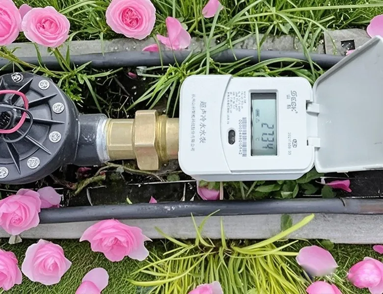 杭州“頂流”驚艷全國，山科如何守護(hù)城市“空中花廊”